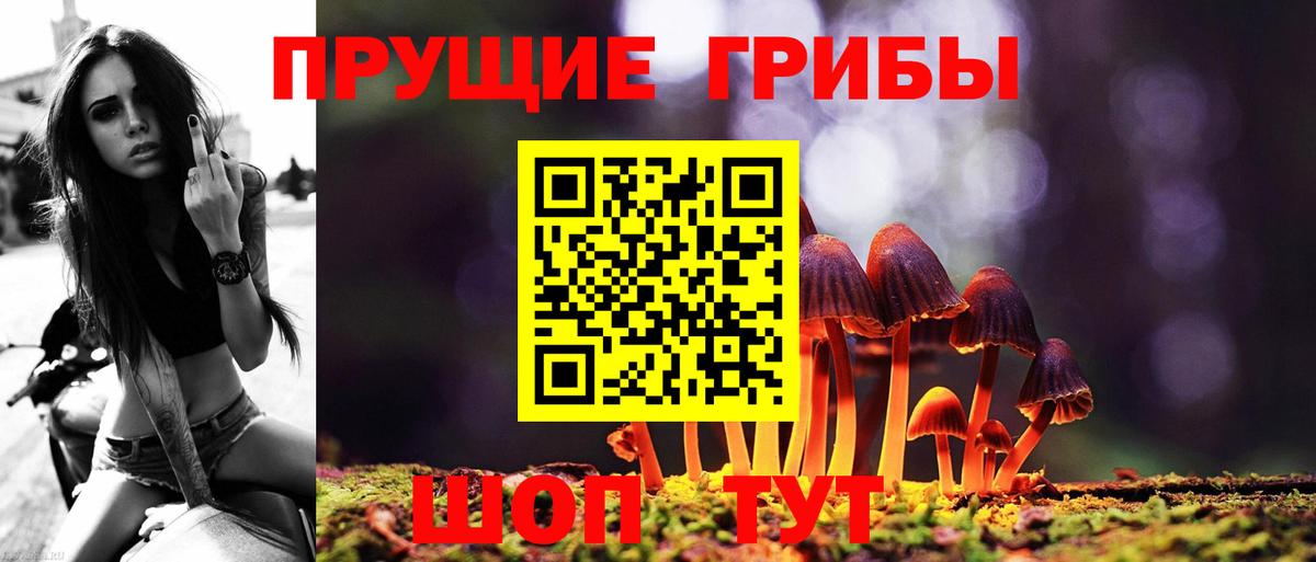 Псилоцибиновые грибы ЛСД  Псилоцибиновые грибы Psilocybine cubensis  продажа наркотиков  Большой Камень  Вход с VPN 